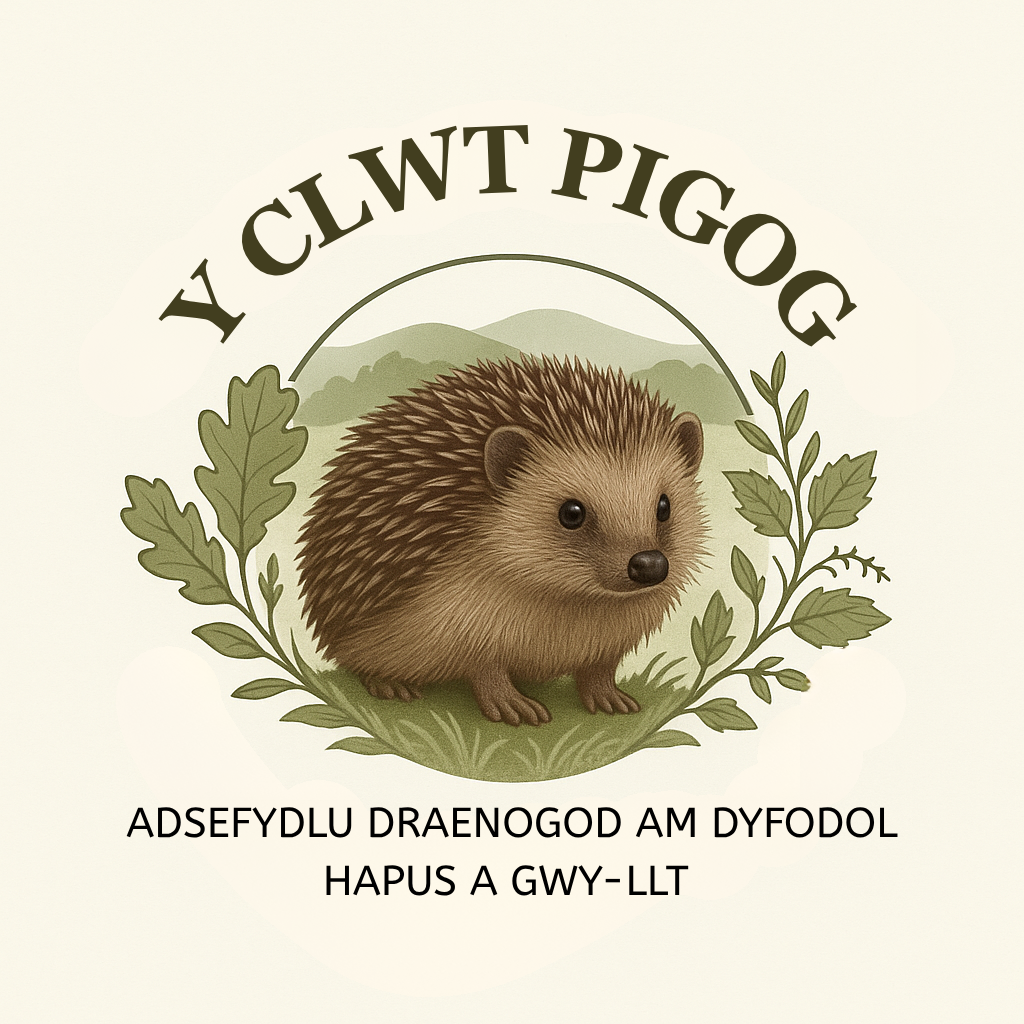 Y Clwt Pigog