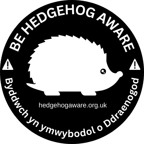 Be Hedgehog Aware / Byddwch yn ymwybodol o Ddraenogod